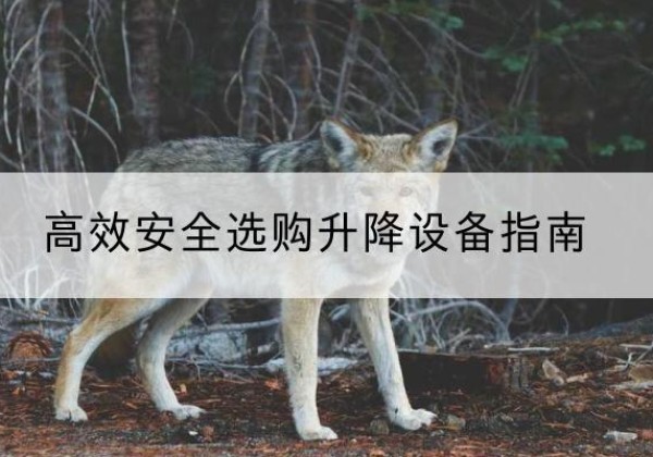 乌达升降货梯厂家推荐-*安全选购升降设备指南