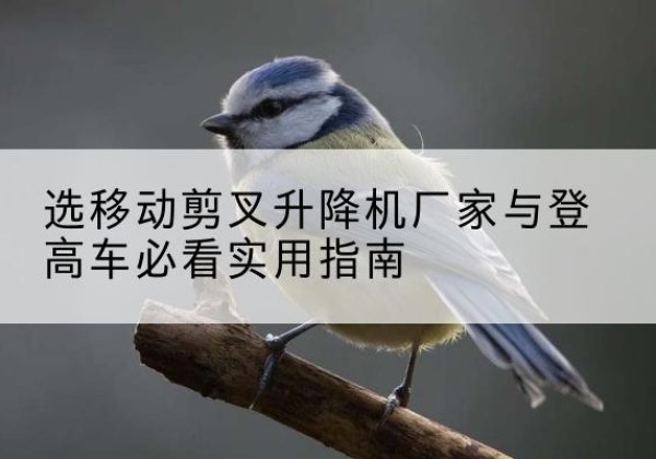 乌达电动升降机厂家-选移动剪叉升降机厂家与登高车必看实用指南